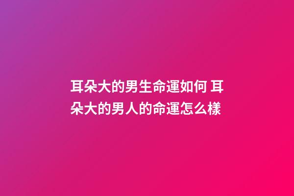 耳朵大的男生命運如何 耳朵大的男人的命運怎么樣-第1張-觀點-玄機派
